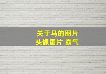 关于马的图片头像图片 霸气